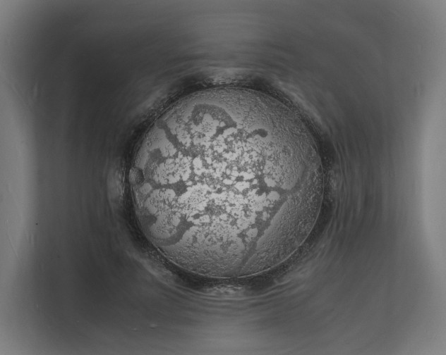 X0000112150691200908211414