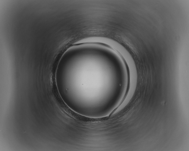 X0000112150692200908211414