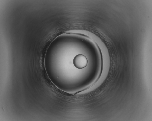 X0000112150696200908211414