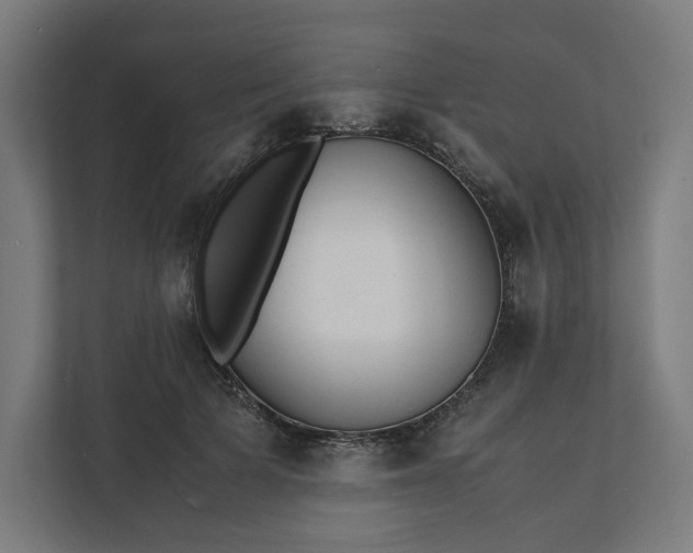 X0000112150697200908211414