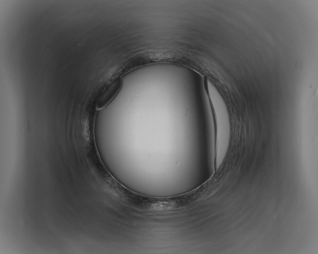 X0000112150700200908211414