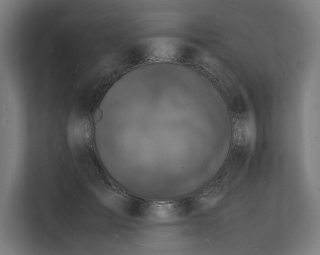 X0000112150701200908211414