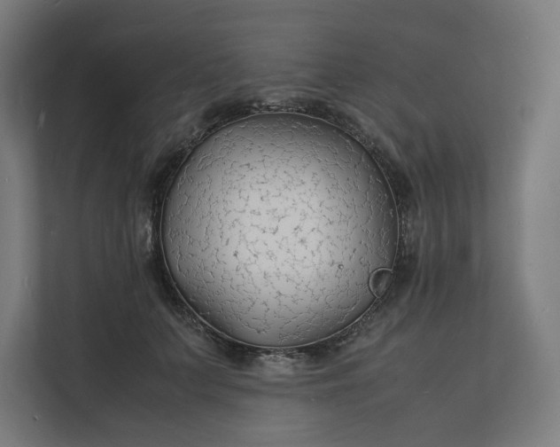 X0000112150703200908211414