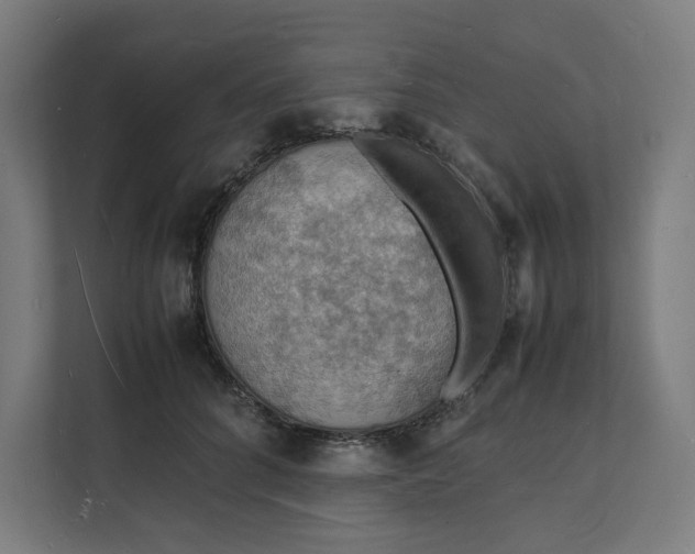 X0000112150704200908211414