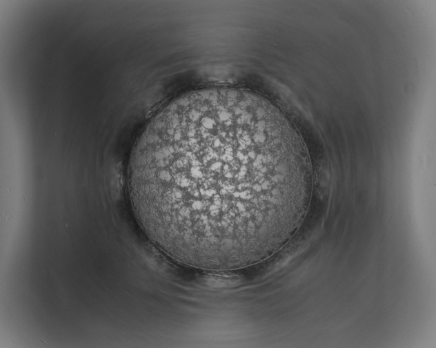 X0000112150707200908211414
