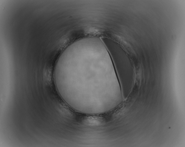 X0000112150708200908211414