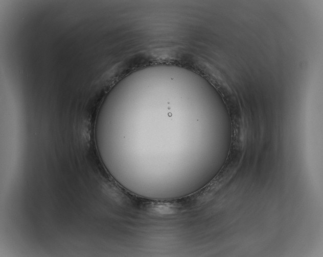 X0000112150710200908211414