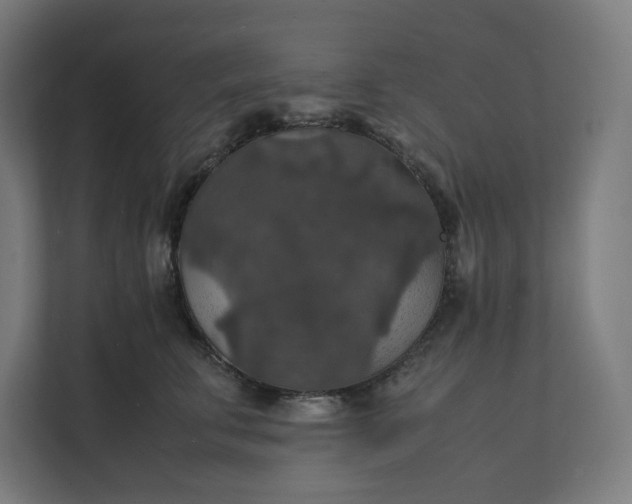 X0000112150711200908211414
