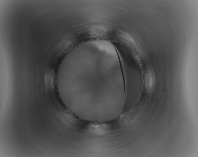 X0000112150712200908211414