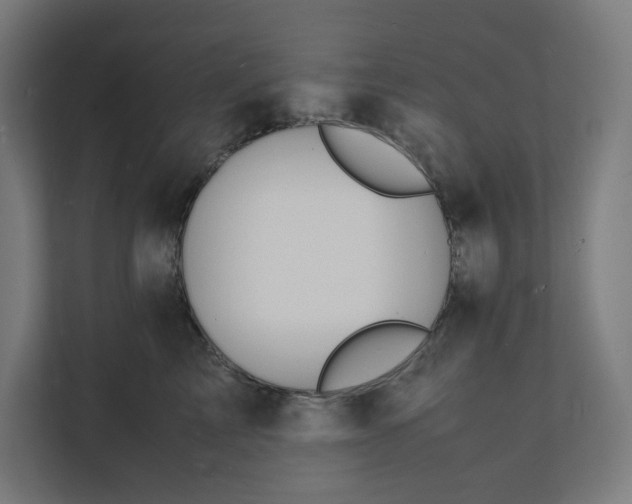 X0000112150713200908211414