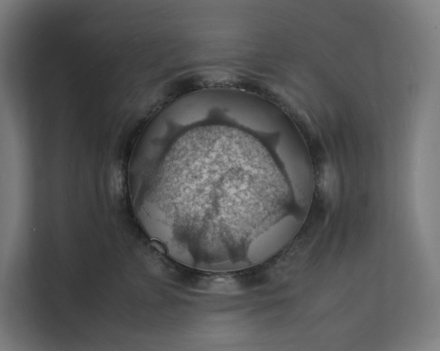 X0000112150715200908211414