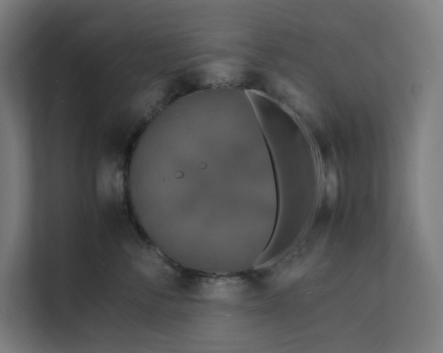 X0000112150716200908211414