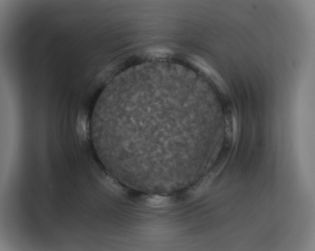X0000112150718200908211414
