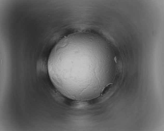 X0000112150719200908211414