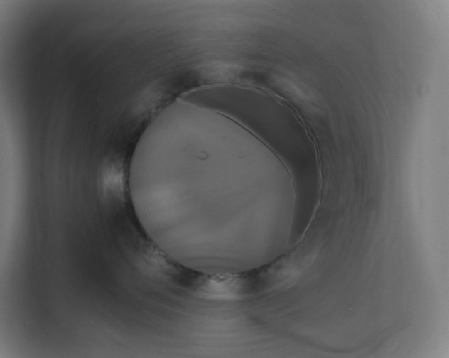 X0000112150720200908211414