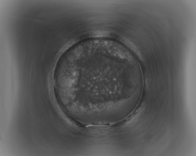 X0000112150721200908211413
