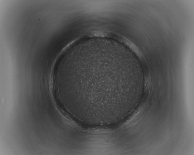 X0000112150722200908211413