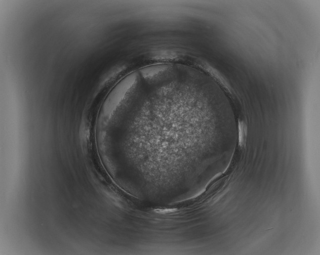 X0000112150723200908211413