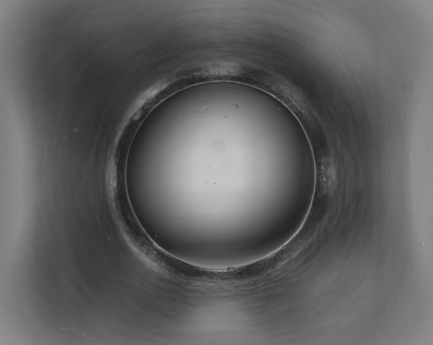 X0000112150726200908211413