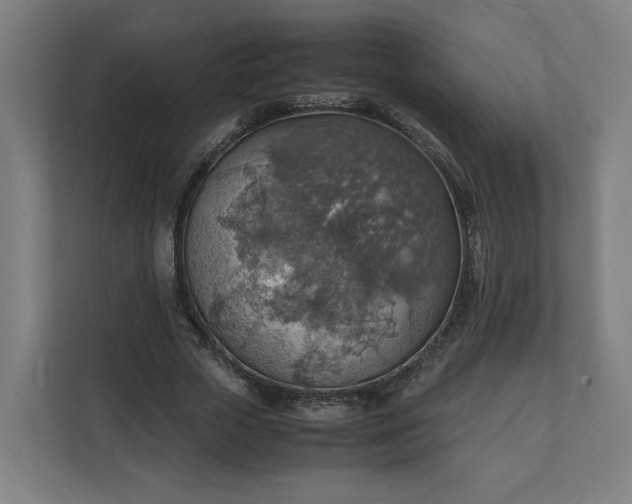 X0000112150729200908211413