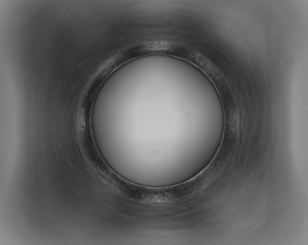 X0000112150731200908211413