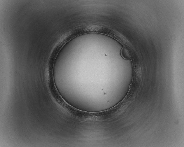 X0000112150734200908211413