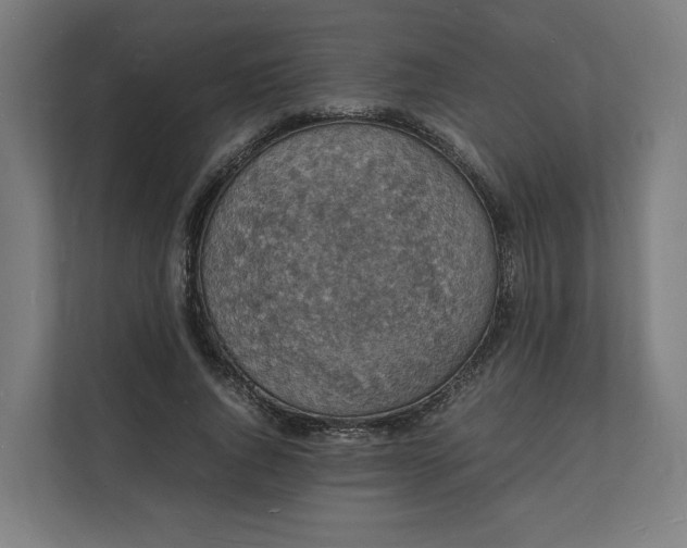 X0000112150736200908211414