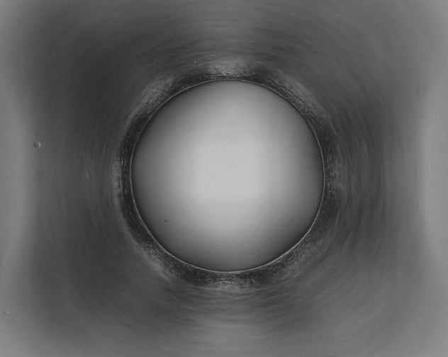 X0000112150738200908211414