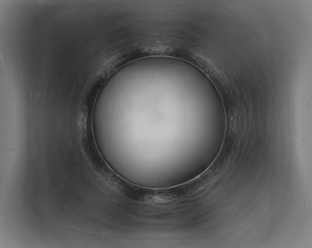 X0000112150739200908211414