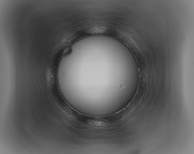 X0000112150743200908211414