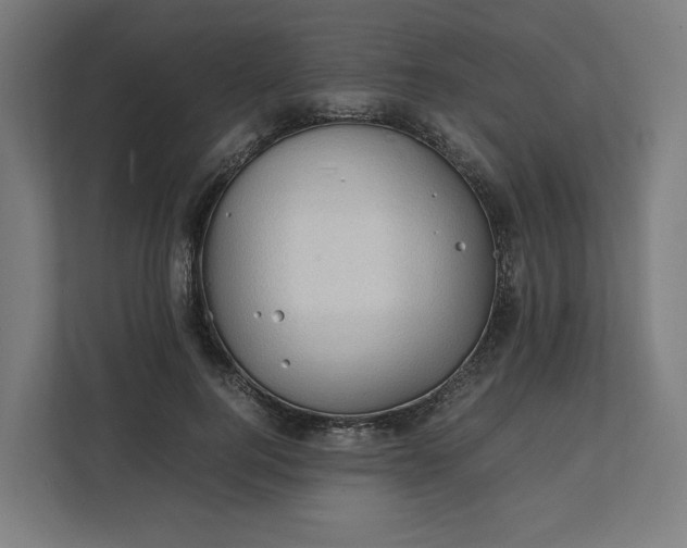 X0000112150744200908211414