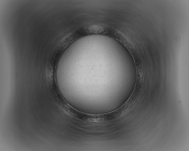 X0000112150745200908211414