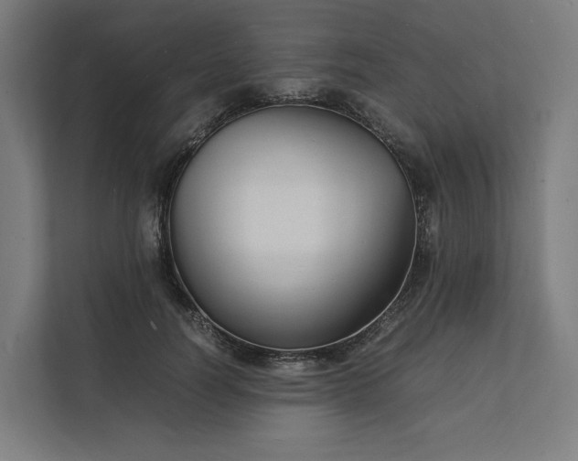 X0000112150746200908211414