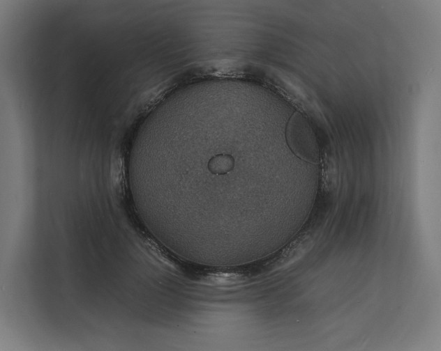X0000112150748200908211414