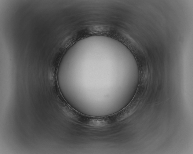 X0000112150749200908211414