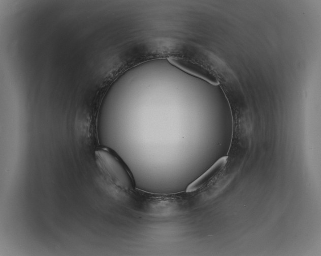 X0000112150750200908211414