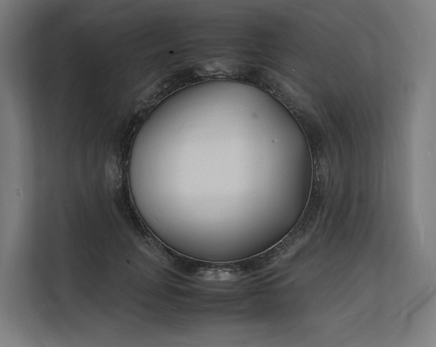 X0000112150751200908211414