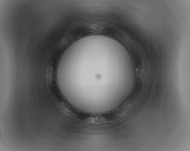 X0000112150752200908211414