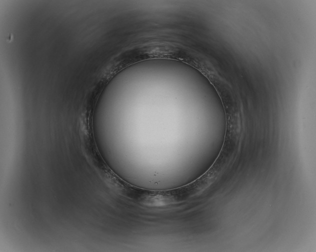 X0000112150755200908211414