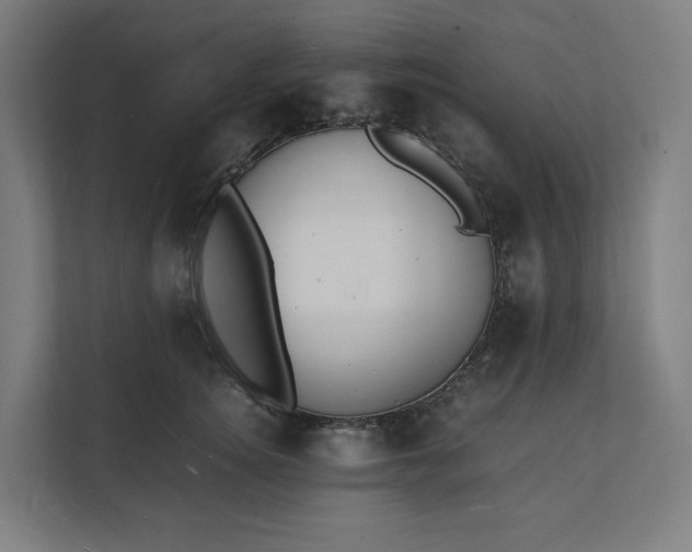 X0000112150756200908211414