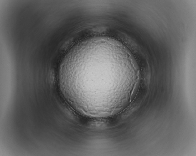 X0000112150758200908211414