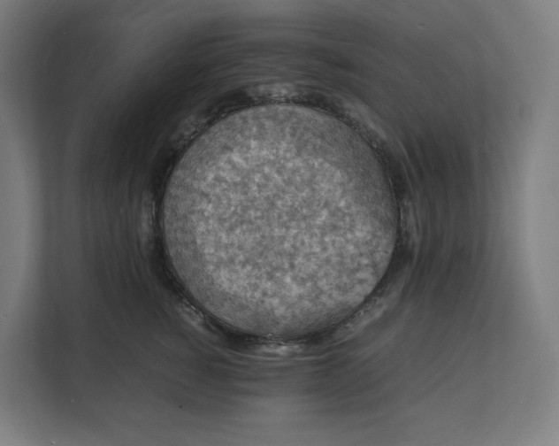 X0000112150760200908211414