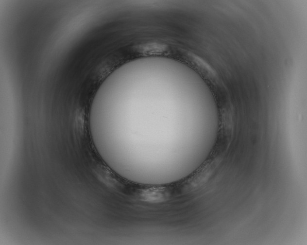 X0000112150761200908211414