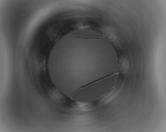 X0000112150762200908211414