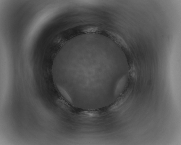 X0000112150763200908211414