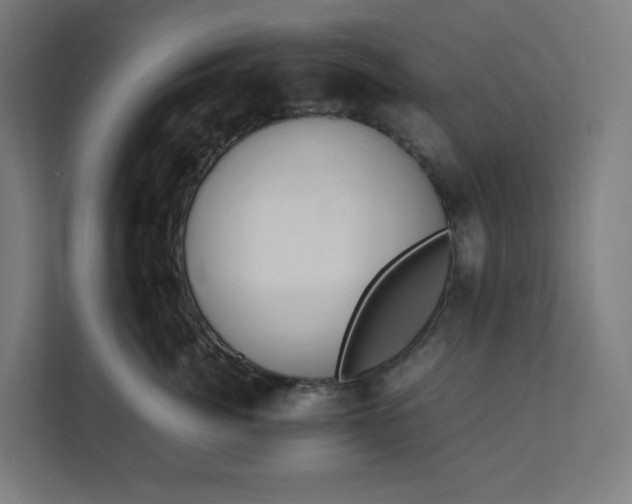 X0000112150764200908211414