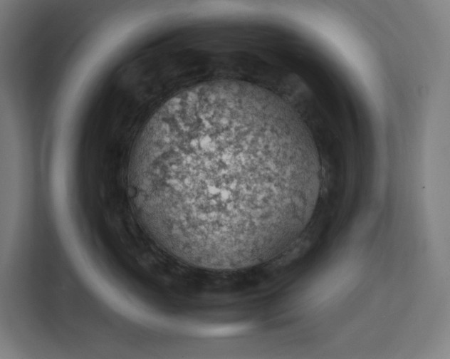 X0000112150765200908211414