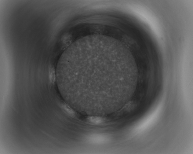 X0000112150766200908211414