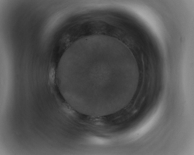 X0000112150767200908211414