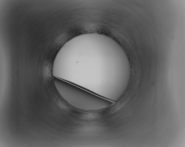 X0000112150768200908211414